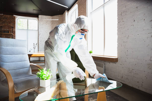 Best Emergency Mold Remediation  in Arbutus, MD